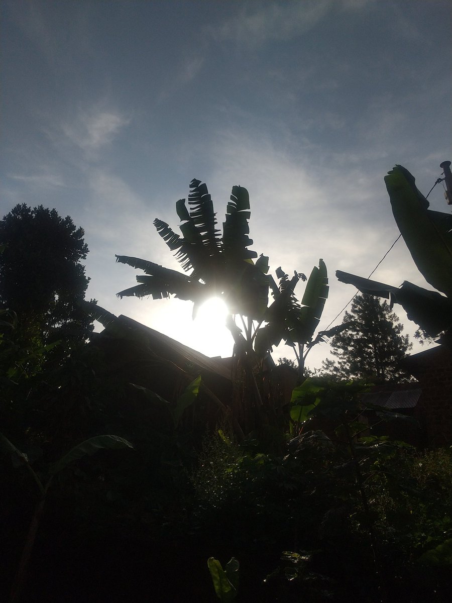 Miradji1000's tweet photo. A calm and peaceful Thursday morning with sunrise mood .
#ThursdayMorning
#SunrisePhotography
#Photography
#NaturePhotography
#PictureOfTheHour https://t.co/9GfepfbSh0