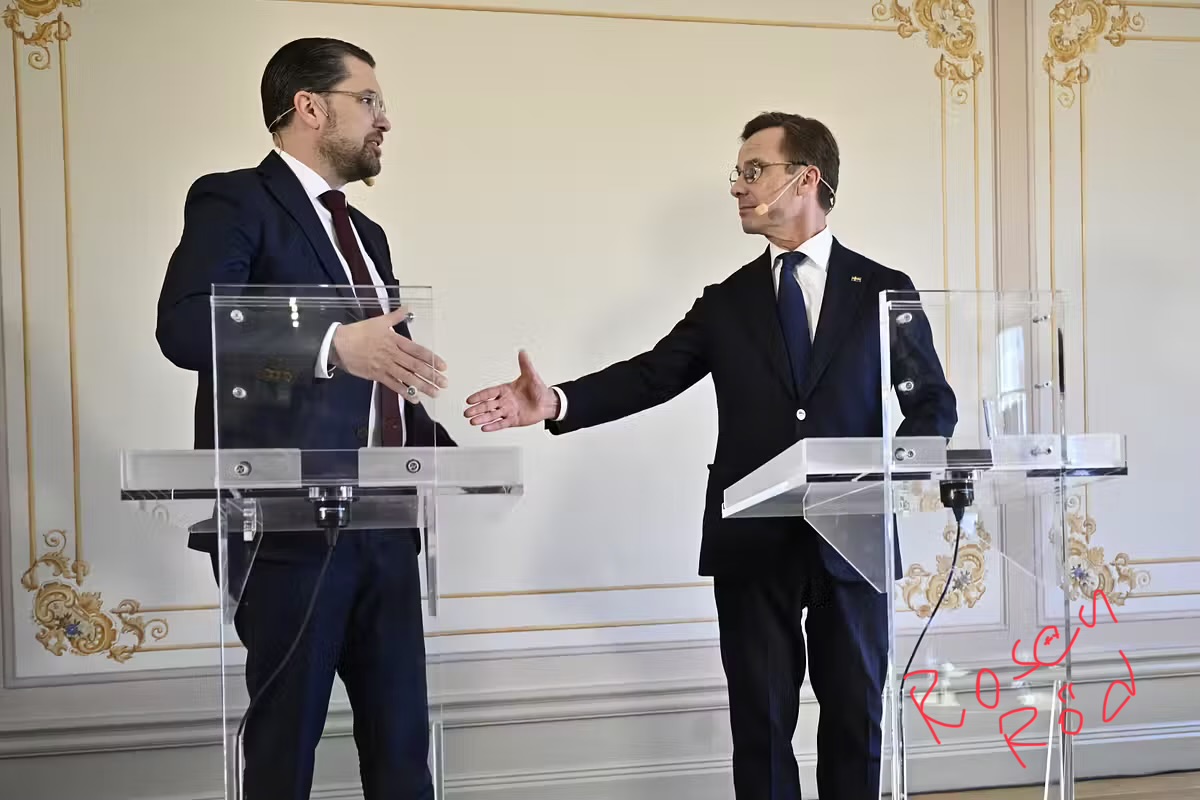 Torgny Karlsson tweet media