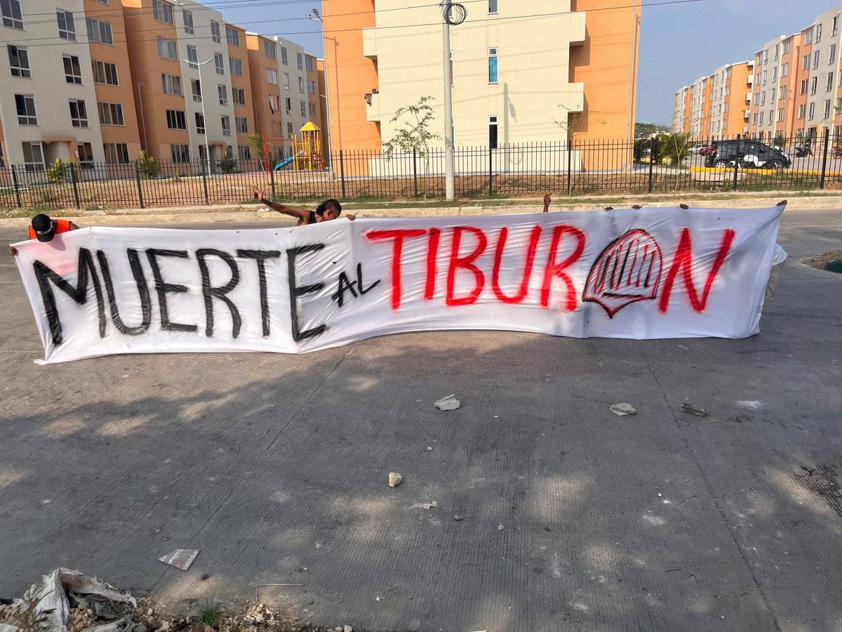 Junior del Alma 🌐 tweet media