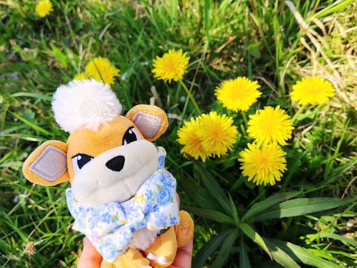 ゆん.* tweet media