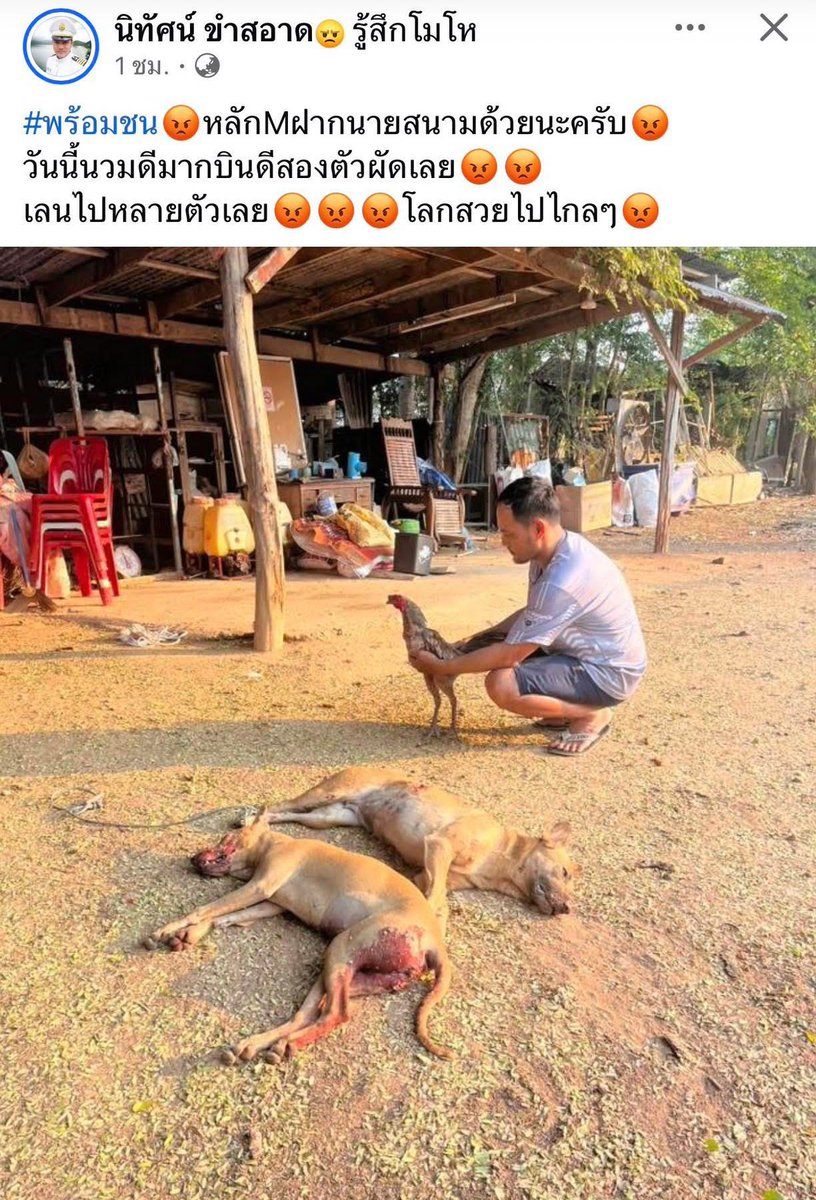 beeisbitch's tweet photo. หมากัดไก่ฆ่าหมา สันดารข้าราชการหรอไอ่สัสหน้าหี https://t.co/2UyGGYFHyB