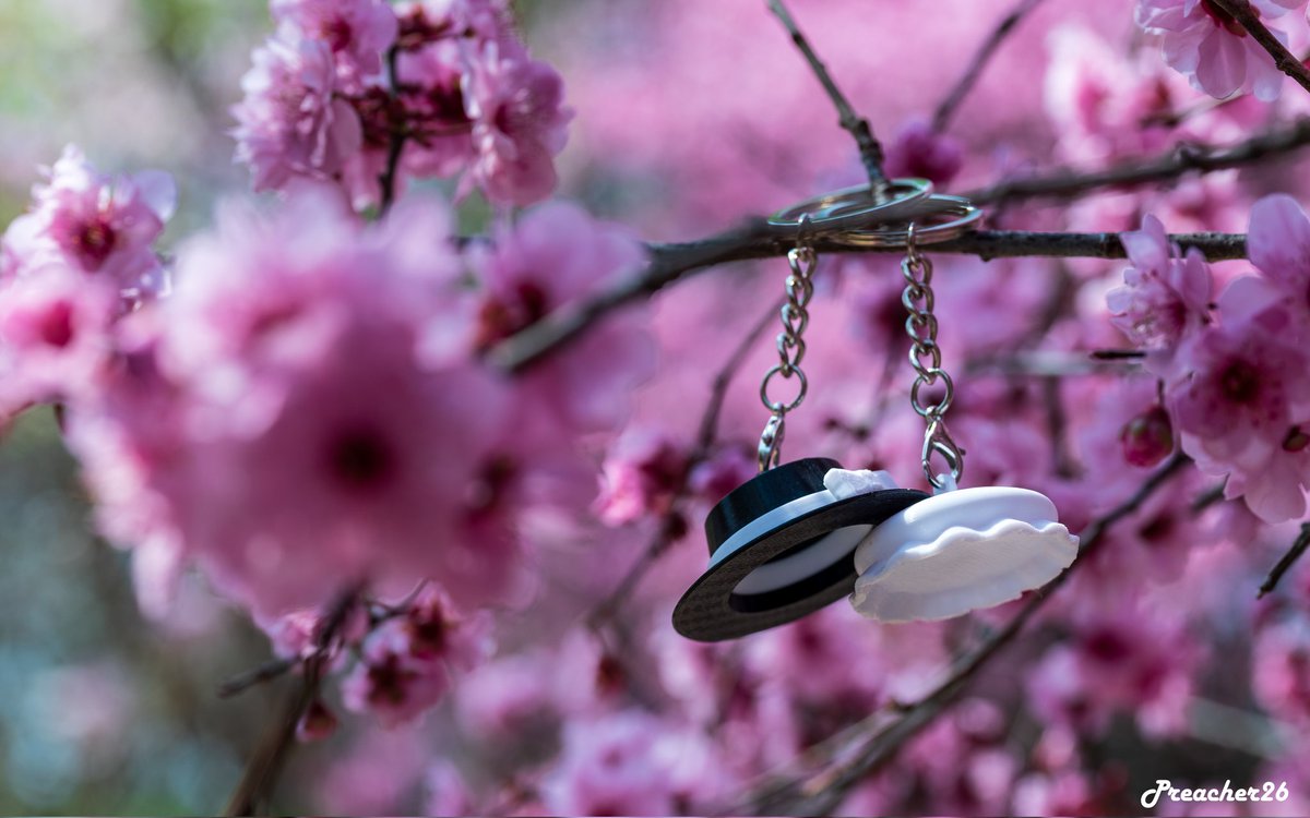 Hifuu hat

#東方Project #秘封倶楽部