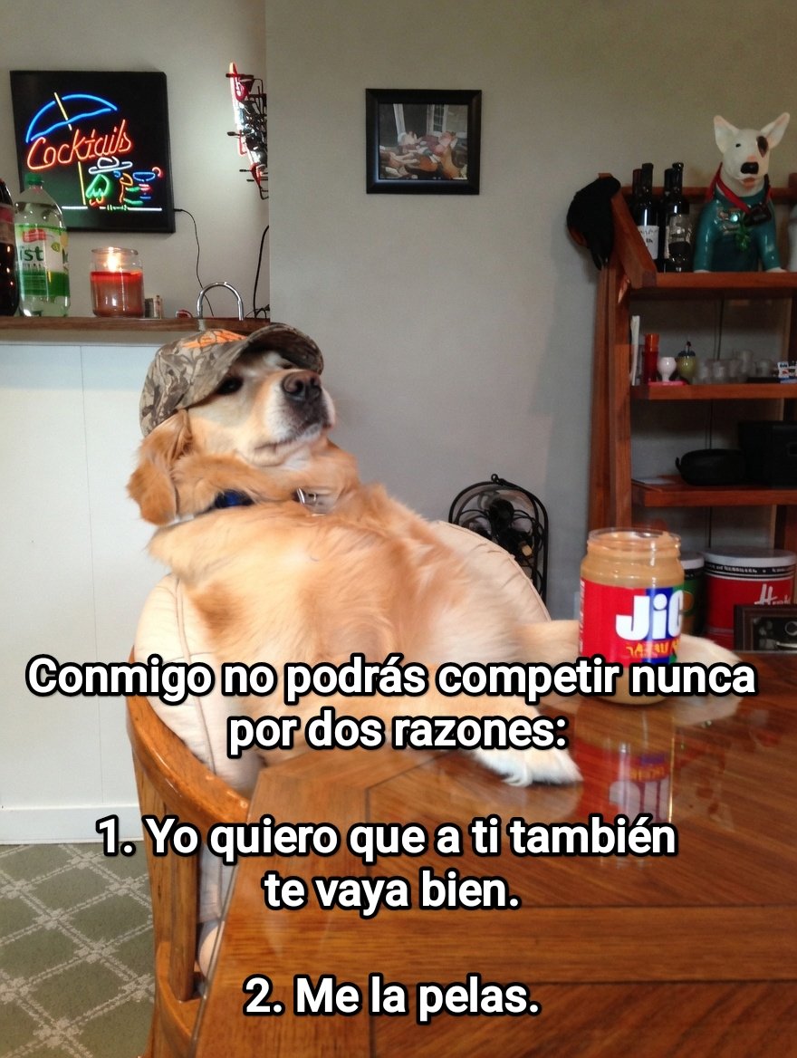 Cap Briagowsky tweet media