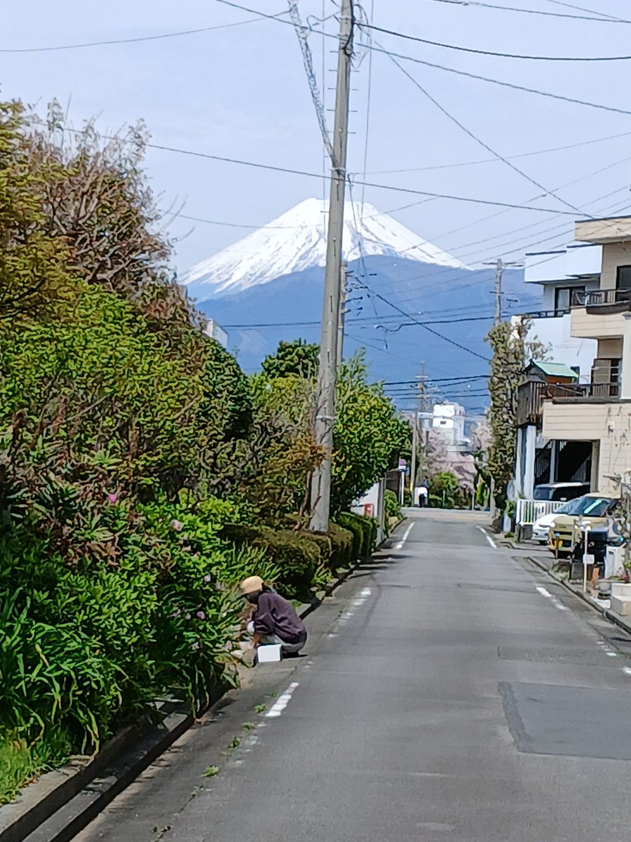 いねこ tweet media