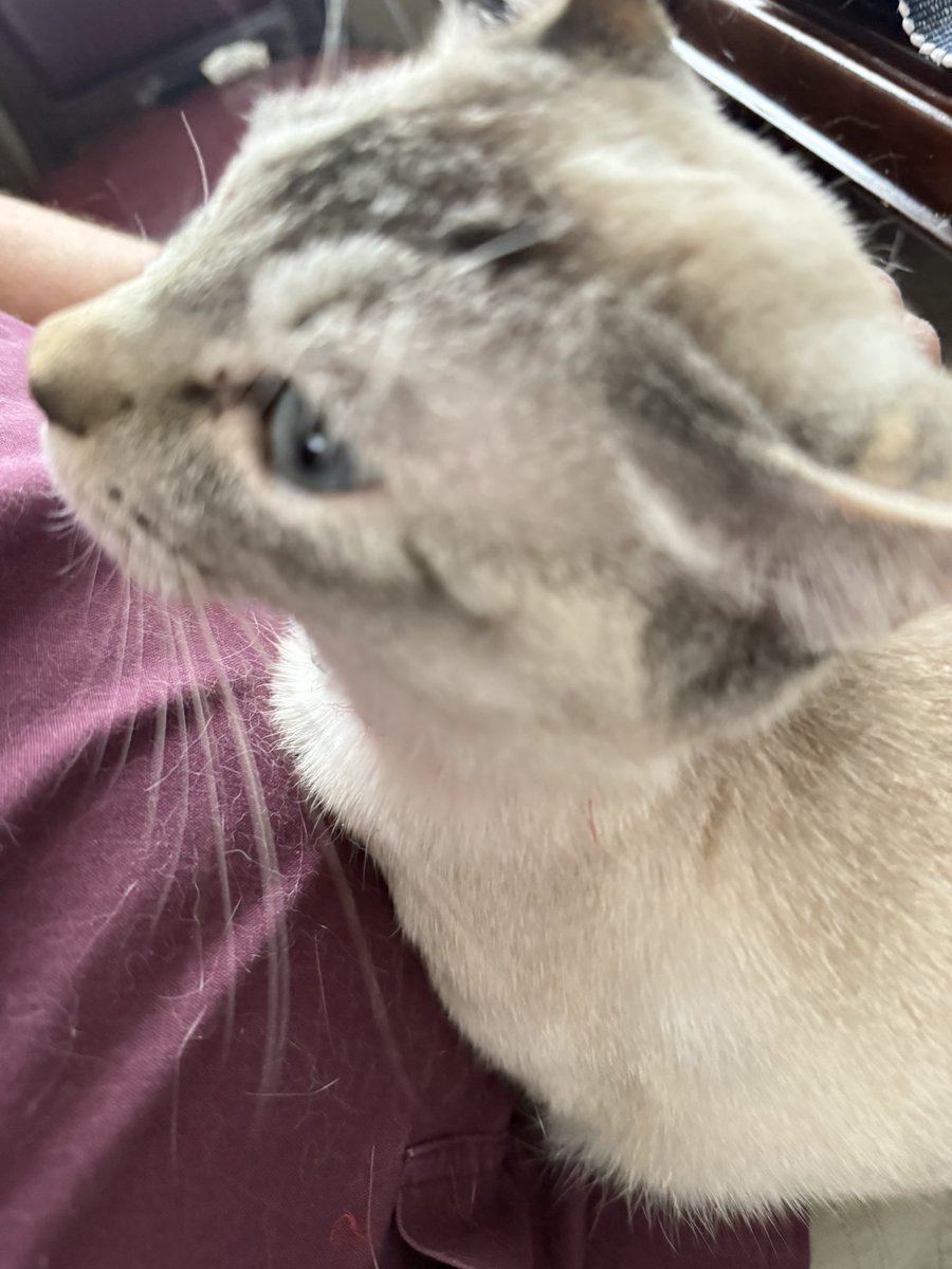 長狼@翁.コツコツケアー tweet media