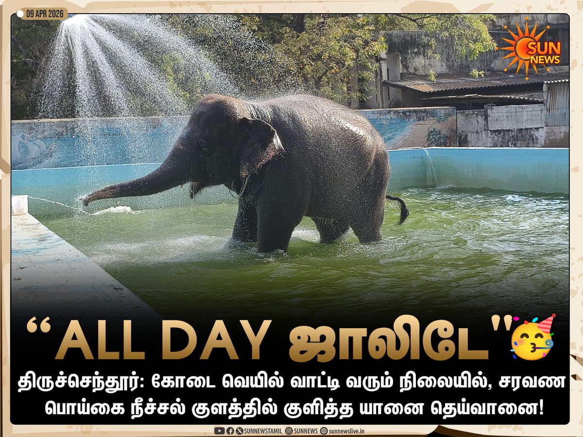 sunnewstamil's tweet image. #Photos | சரவண பொய்கையில் நீராடும் தெய்வானை!

#SunNews | #Elephant | #Thiruchendur