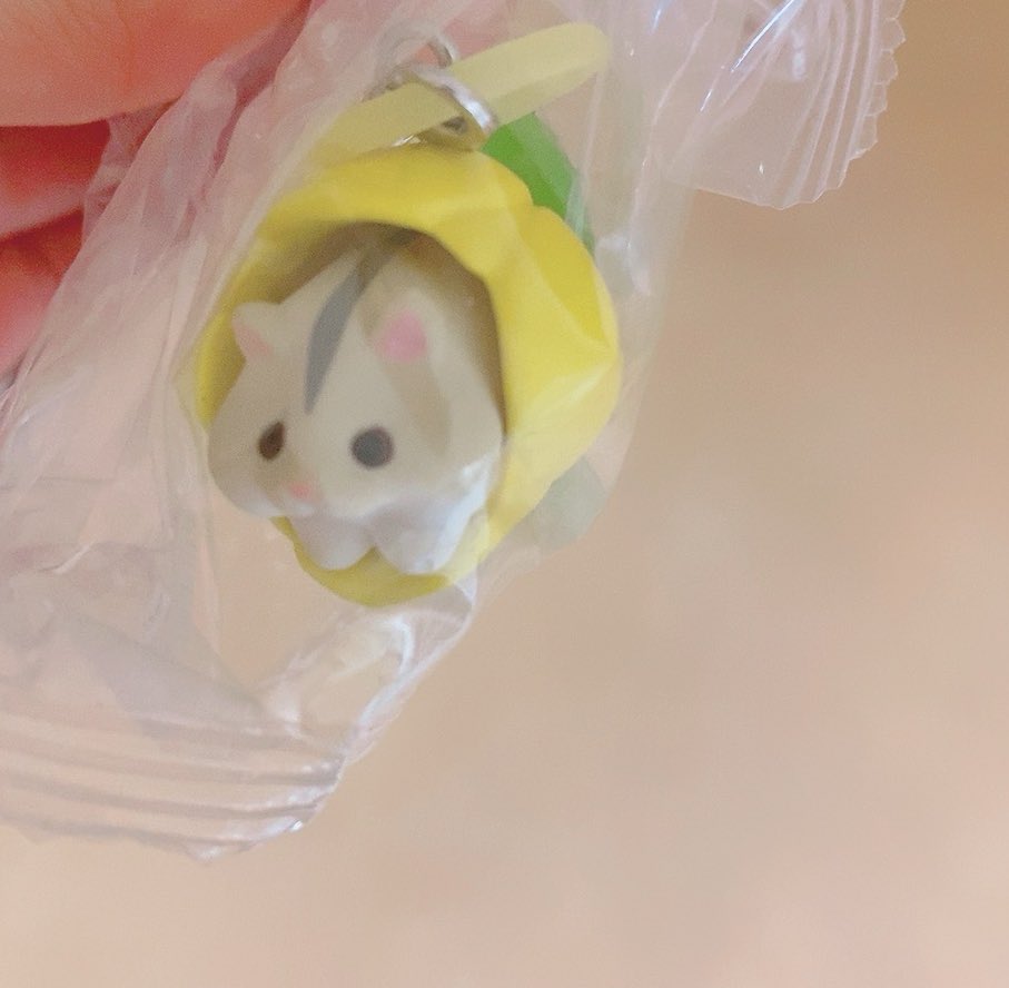 s_n123va's tweet photo. @meu_cha8 はじめまして。
検索から失礼いたします。
ハムスターを所持しているのですが、ひよこと郵送にて交換していただくことは可能でしょうか。
出先のためID付きのお写真は後程添付させていただきます🙇‍♀️
ご検討の程よろしくお願いいたします。 https://t.co/0FzKX7lbsM