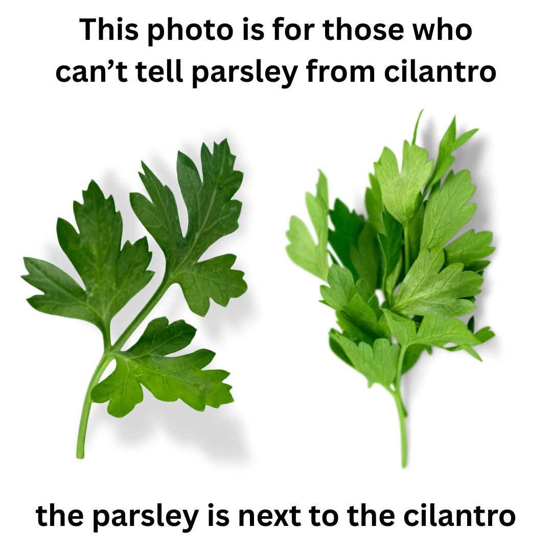 i like food tweet media