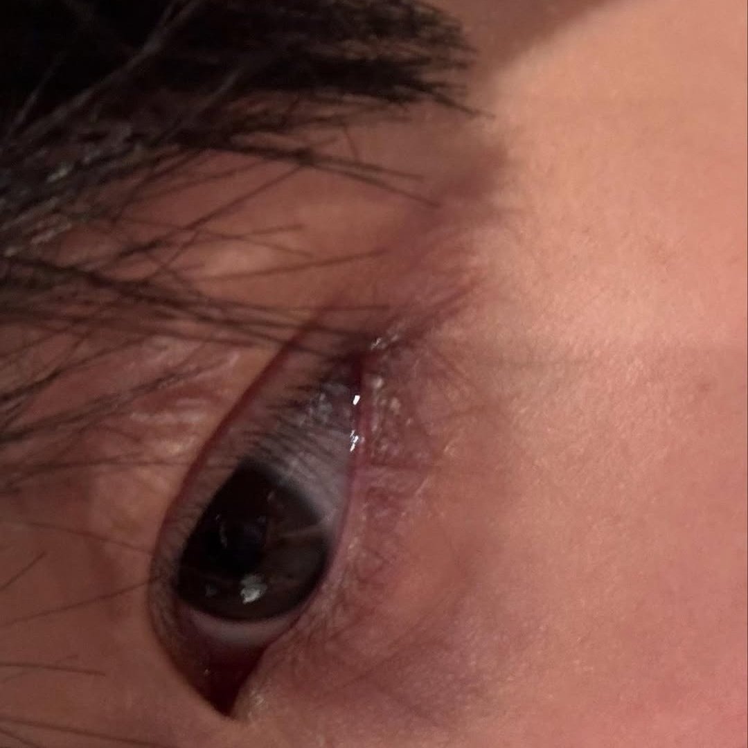 tatasillyyapper's tweet image. they give off the same vibe to me 😭 my babies have pretty eyes 💞

#smtr25 #tata #toto #totothayawat