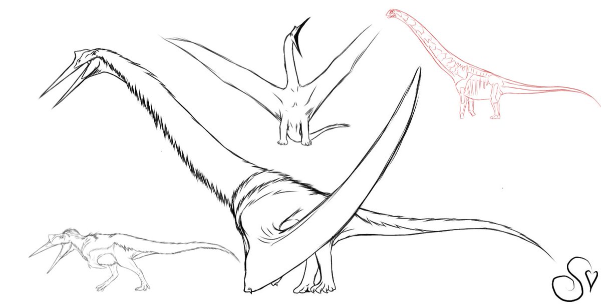 ✨🌸Sinoma🌸✨ 🏳️‍⚧️ tweet media