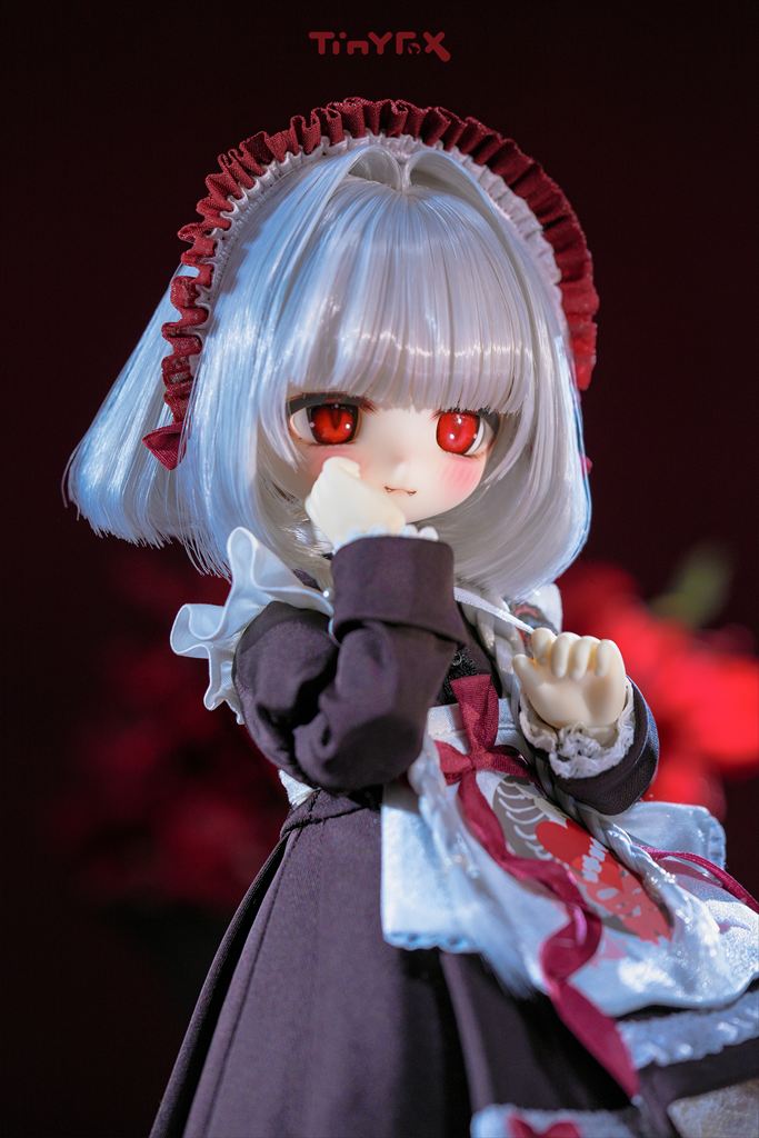 はっぱ様オーダーページです。ハルモニ　TinyFox　夜空でランデブー1番　初雪 tinyfox