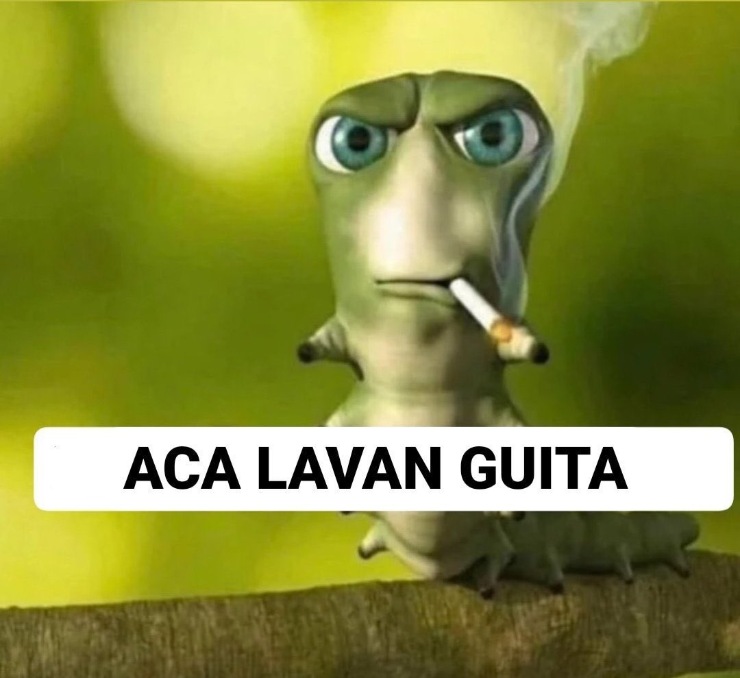 amigas que onda las que van 3 fechas seguidas, hasta hace una semana ninguna tenía ni para las galletitas de agua con picadillo