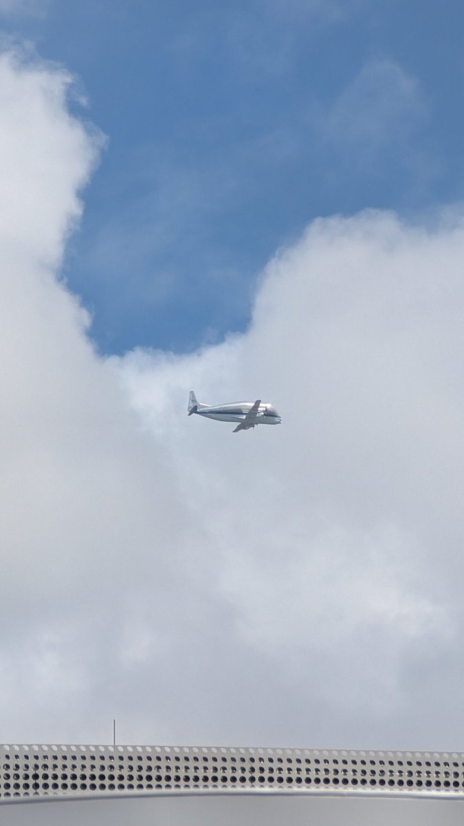 ejkop's tweet photo. Happened to spot it over Tampa earlier today! https://t.co/joylPM4Eic
