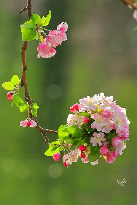 Spezialaccount's tweet photo. 🌿🌸🌞 https://t.co/J9SbR1KBic