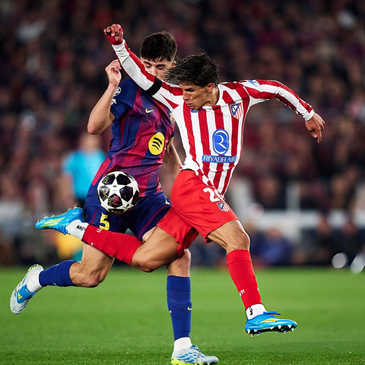 Abokr Omar tweet media