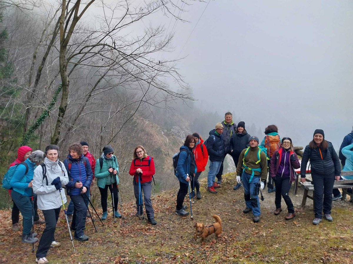Dolomiti Friulane tweet media