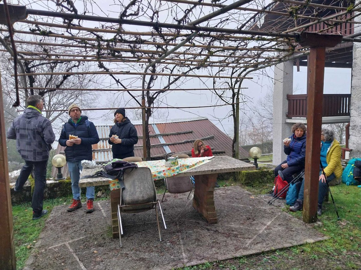 Dolomiti Friulane tweet media