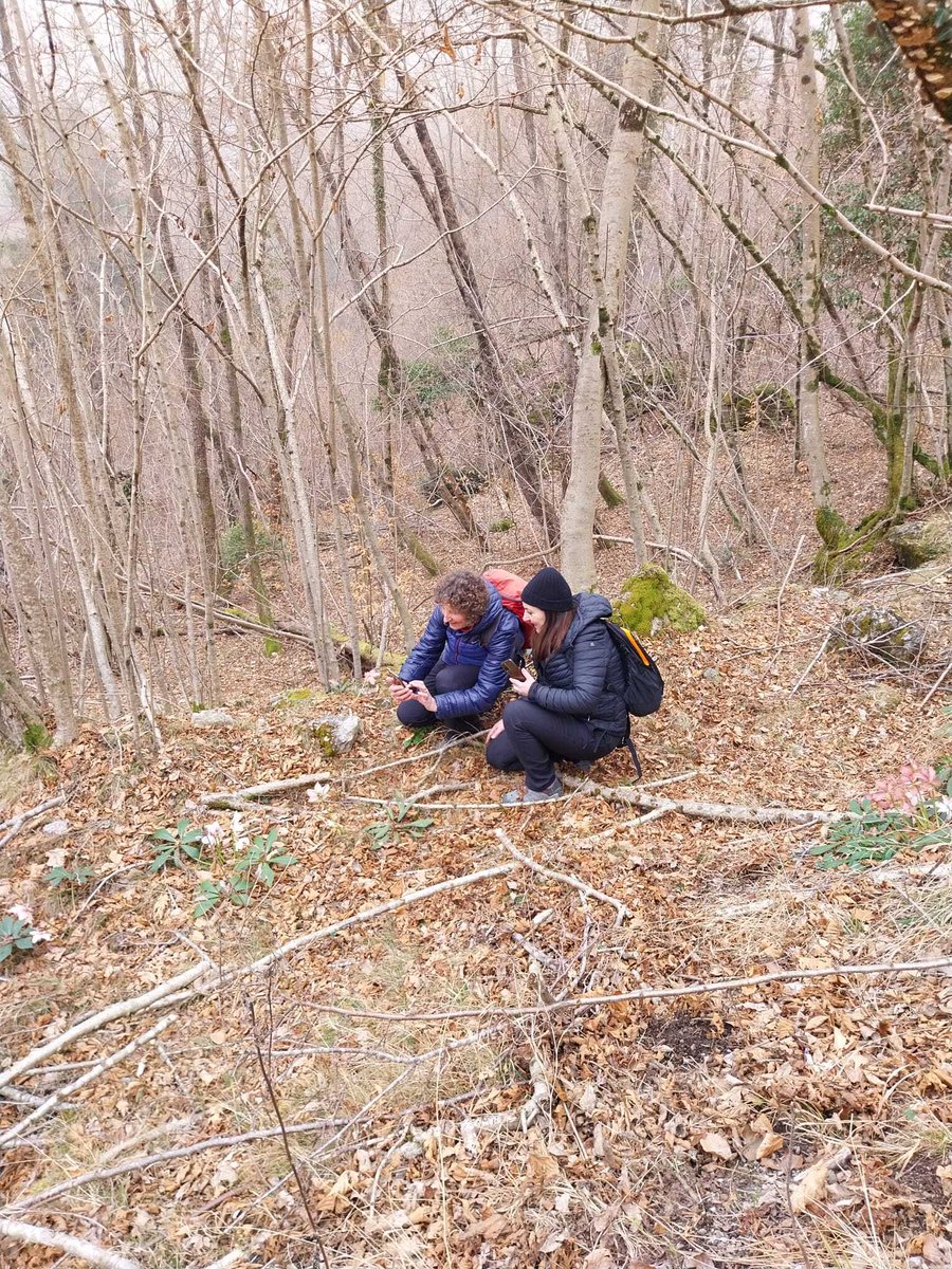 Dolomiti Friulane tweet media