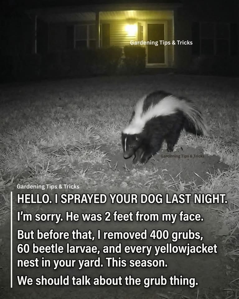 🧬Maxpein🧬 tweet media