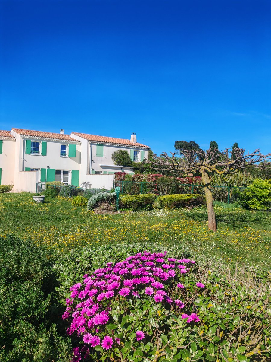 NHoonited's tweet image. Ciel bleu et grand soleil, mon temps préfé-#Ré