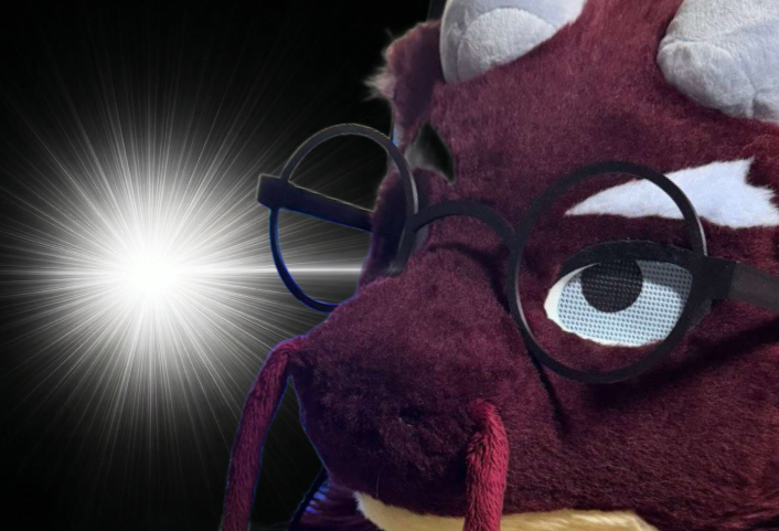 오백비 tweet media