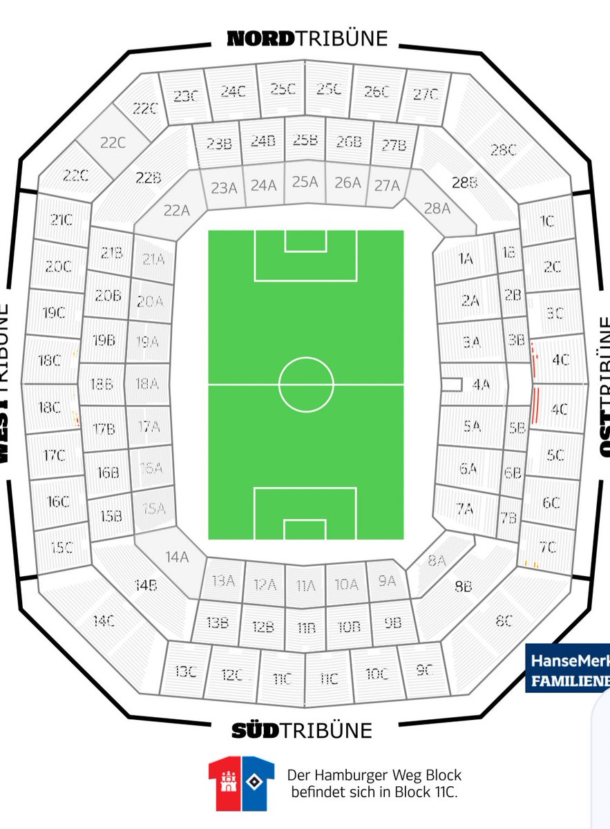 Tim-Leon tweet media