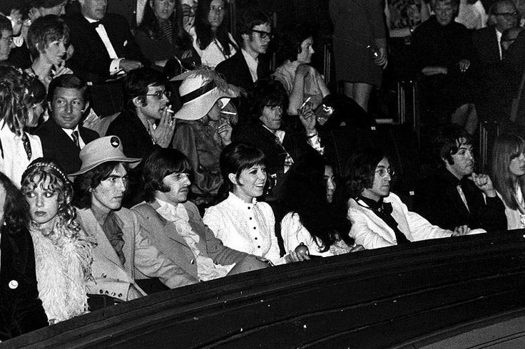 Laurent The Walrus tweet media