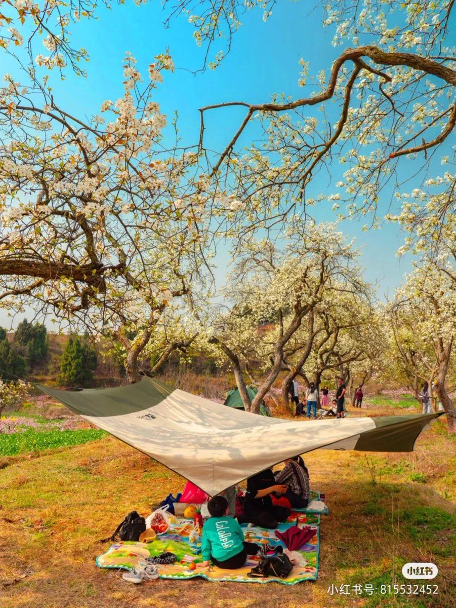 Şükrü Yılmaz tweet media