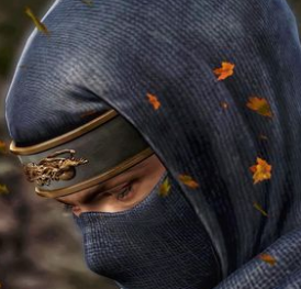 MasterNinjaRyu tweet media