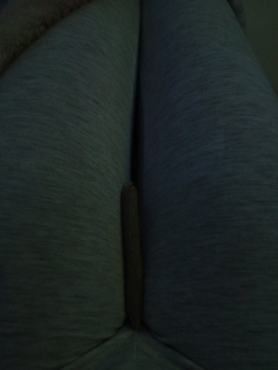 nicky 🐾 tweet media