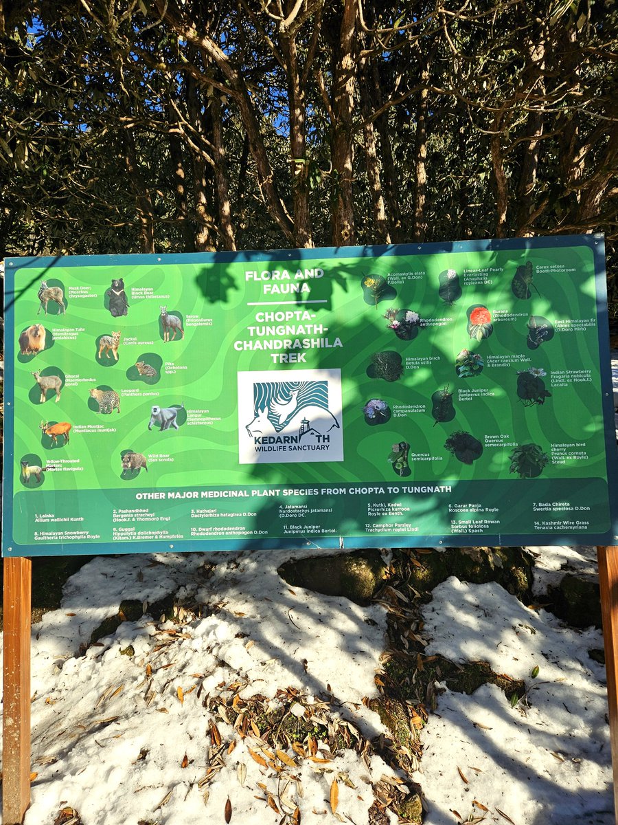 Rural Nomad tweet media