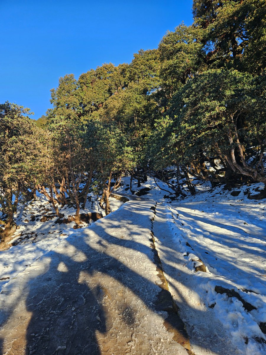 Rural Nomad tweet media