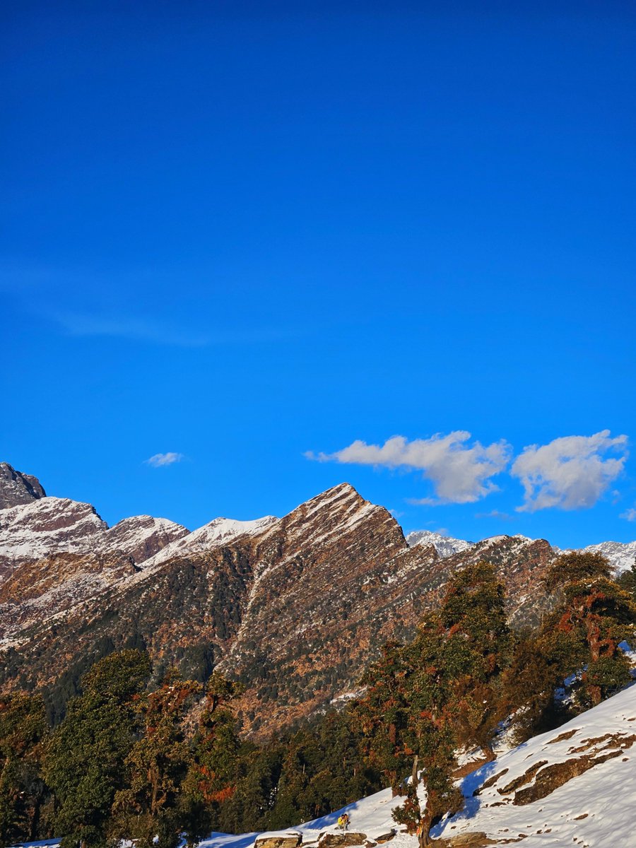 Rural Nomad tweet media