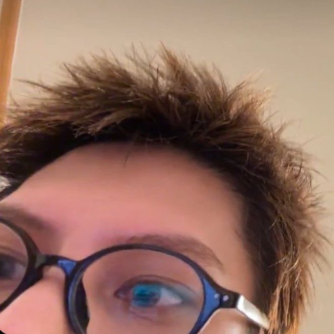 homotron 3000 tweet media