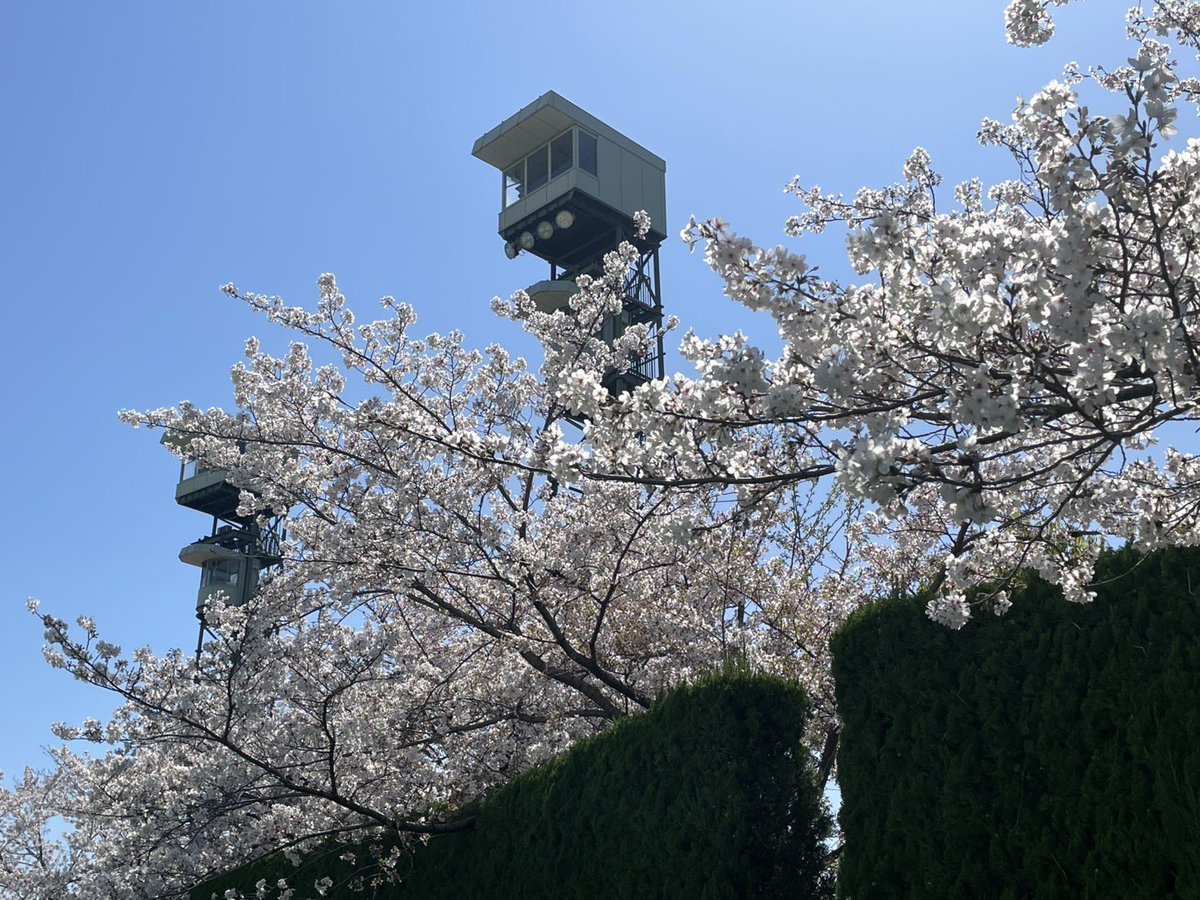 阪神競馬場【公式】 tweet media