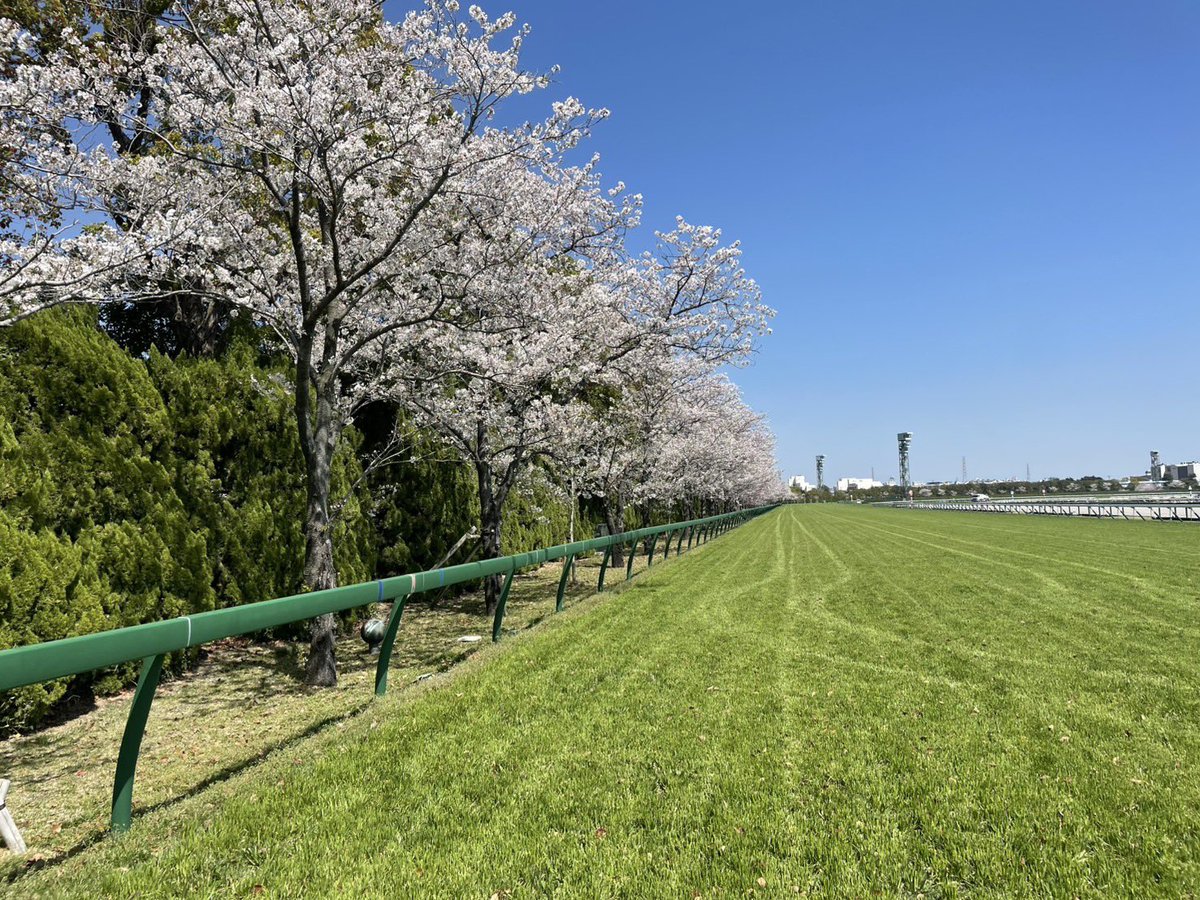 阪神競馬場【公式】 tweet media