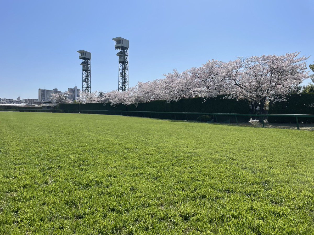 阪神競馬場【公式】 tweet media