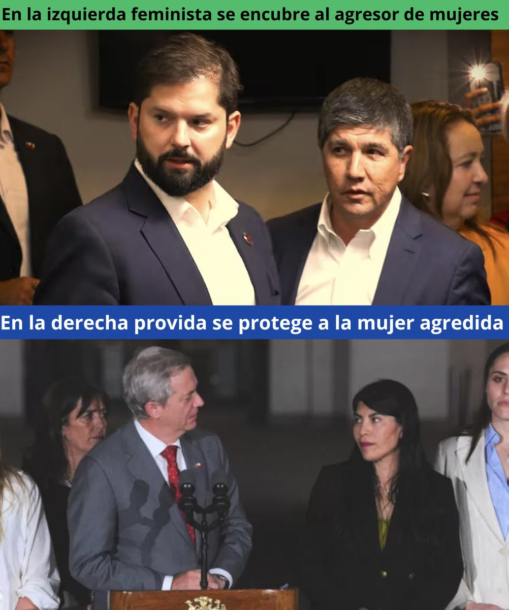 provida.chile tweet media