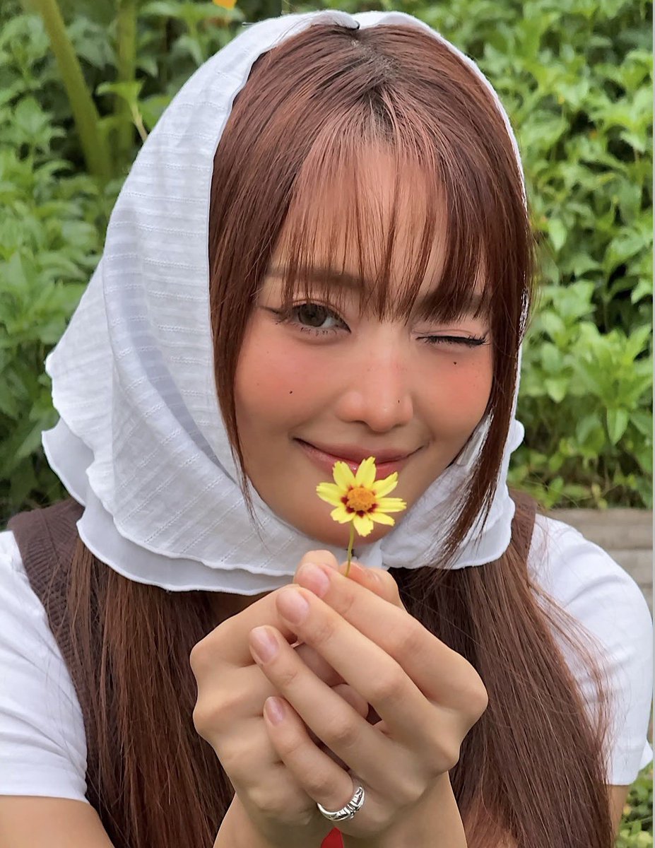 味噌煮 tweet media