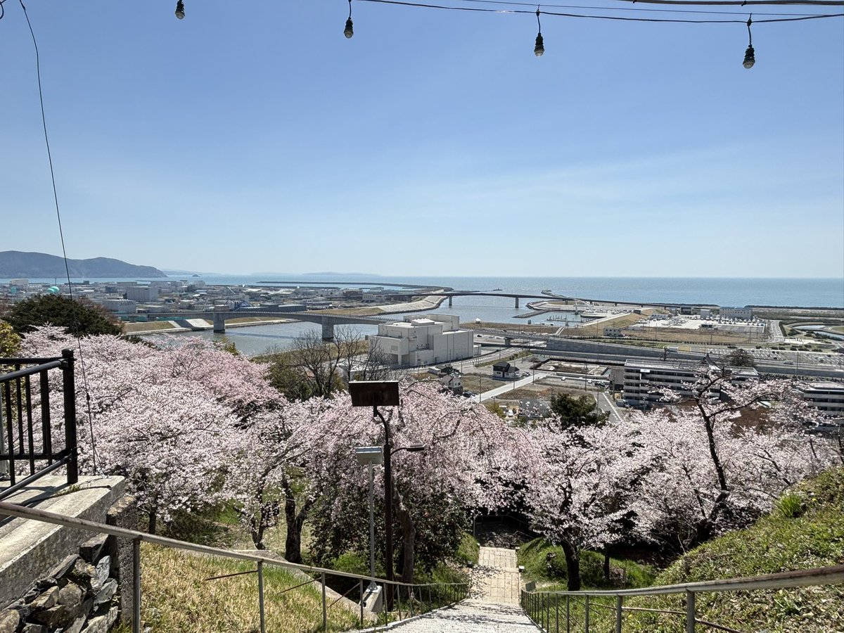 たしゅみ tweet media