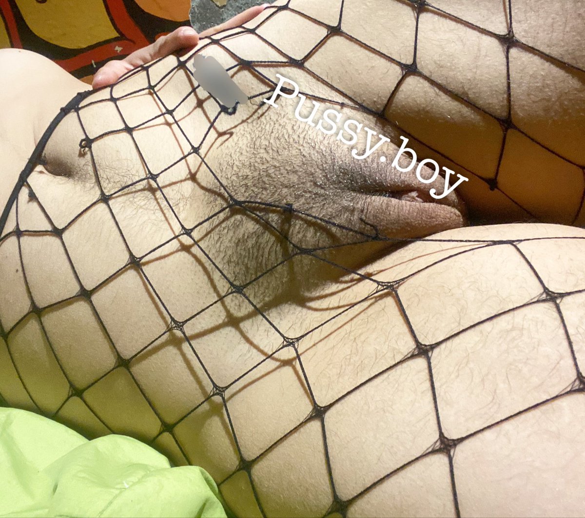 pussy.boy tweet media