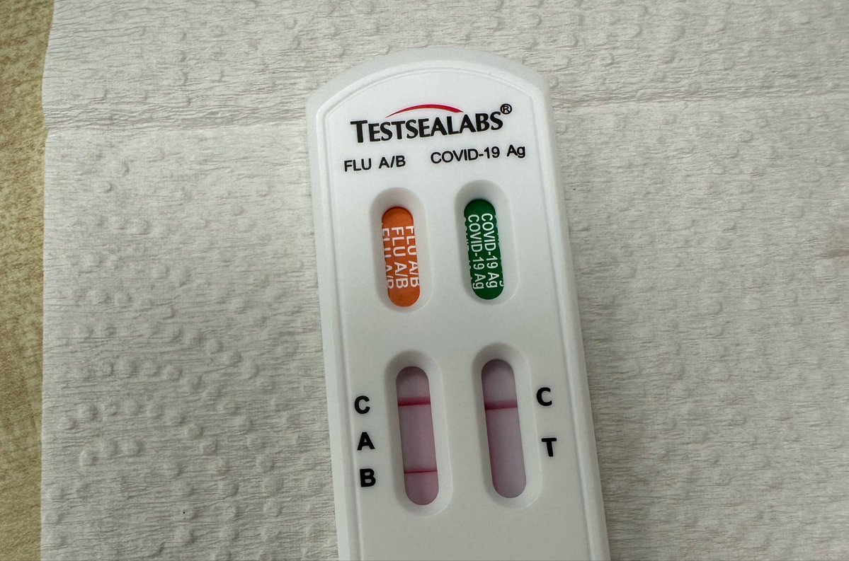 520 ꕤ 1314 tweet media