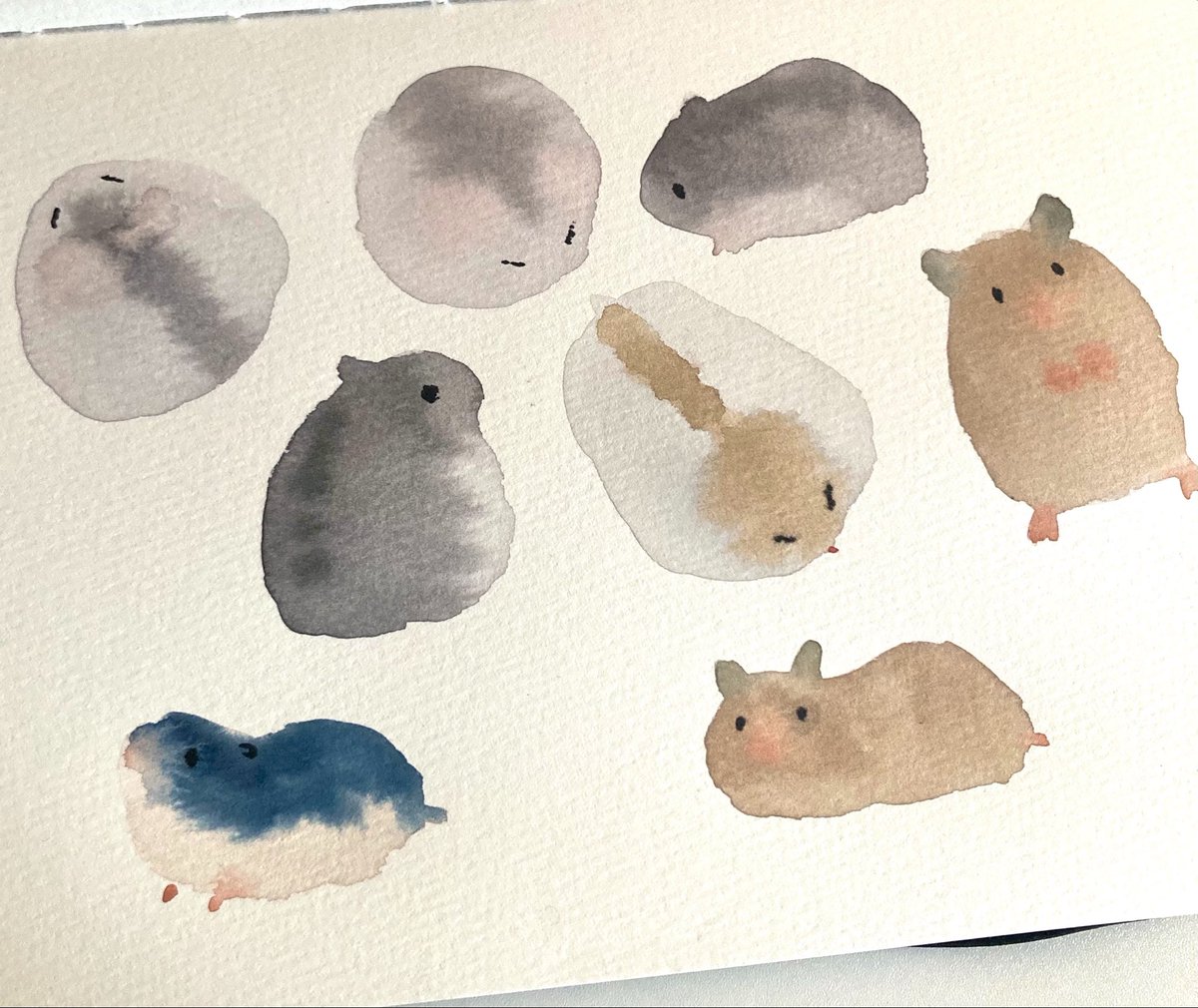 NORI STAR CREAM tweet media