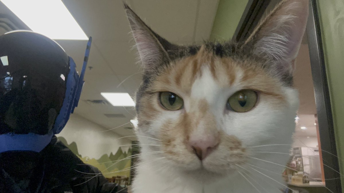 perverted yaoi fetishizer/ hyperlasers coxal bone tweet media