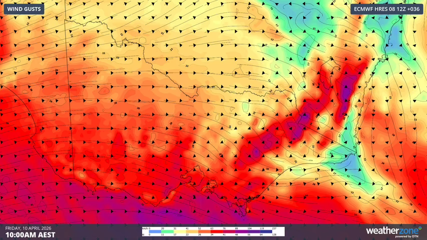 weatherzone's tweet image. Wilds winds are gathering strength, with widespread storms developing across #Victoria and southern #NSW this Thursday afternoon.

⚠️ Severe weather warnings for damaging winds have been issued for parts of Vic, northern #Tasmania and southern NSW, with peak gusts of 100 km/h or