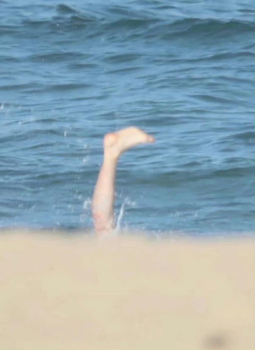 นิศา 🦁BZ🐰 tweet media