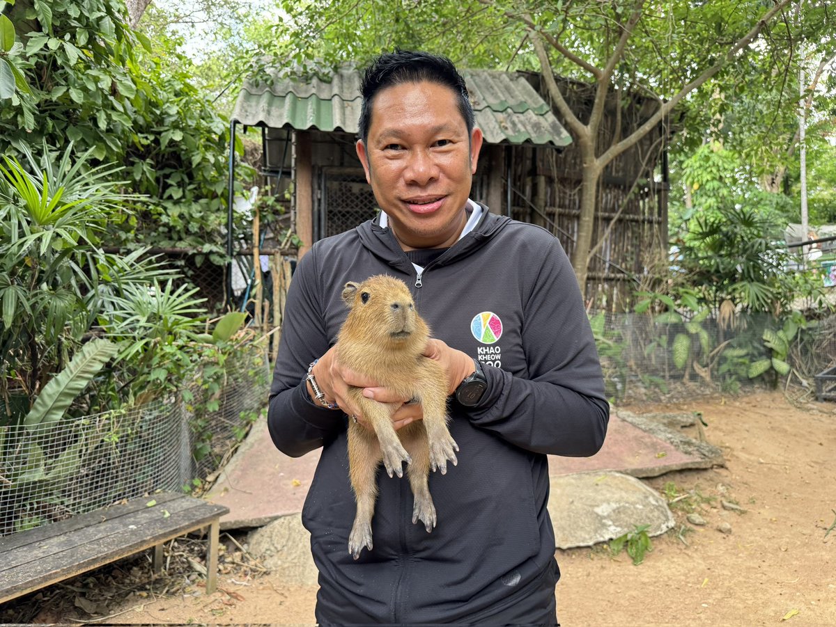 สวนสัตว์เปิดเขาเขียว Khao Kheow Open Zoo tweet media