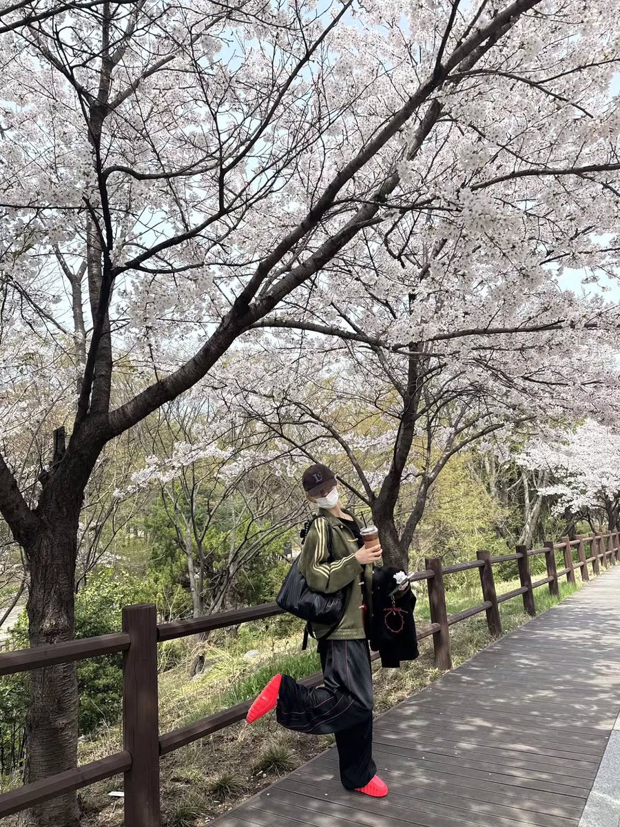 le sserafim pics tweet media