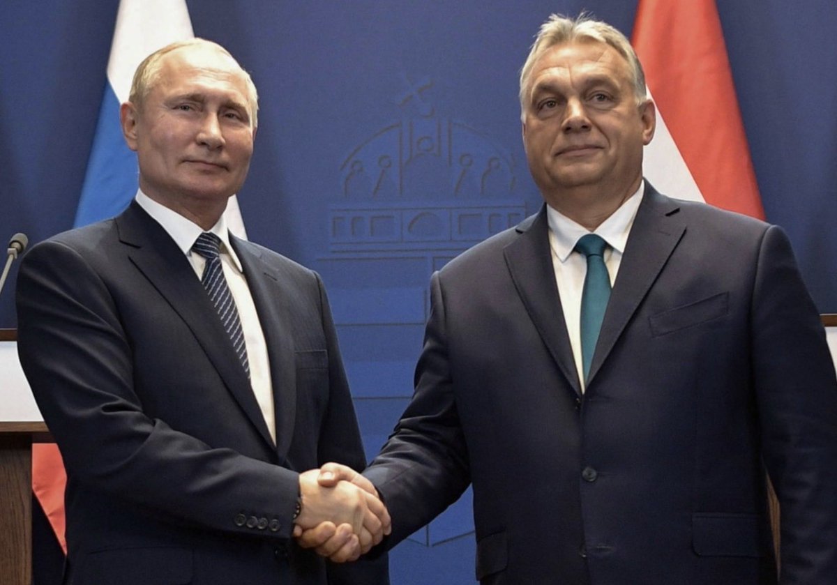 AZ Beobachter tweet media