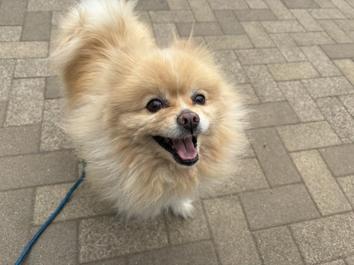 ∞ジェイク∞ tweet media